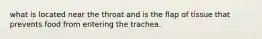 what is located near the throat and is the flap of tissue that prevents food from entering the trachea.