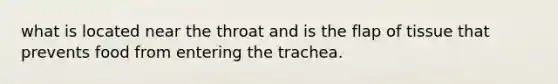 what is located near the throat and is the flap of tissue that prevents food from entering the trachea.