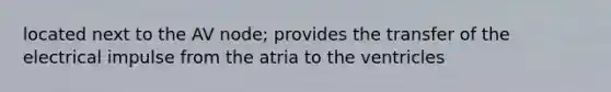 located next to the AV node; provides the transfer of the electrical impulse from the atria to the ventricles