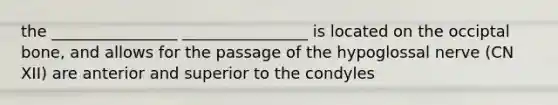 the ________________ ________________ is located on the occiptal bone, and allows for the passage of the hypoglossal nerve (CN XII) are anterior and superior to the condyles