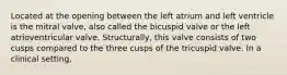 Located at the opening between the left atrium and left ventricle is the mitral valve, also called the bicuspid valve or the left atrioventricular valve. Structurally, this valve consists of two cusps compared to the three cusps of the tricuspid valve. In a clinical setting,