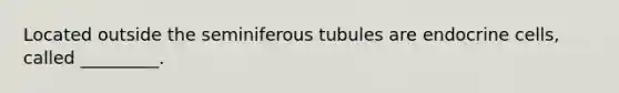 Located outside the seminiferous tubules are endocrine cells, called _________.