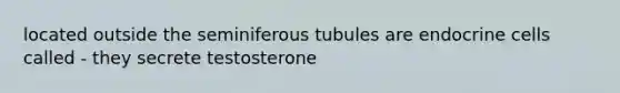 located outside the seminiferous tubules are endocrine cells called - they secrete testosterone