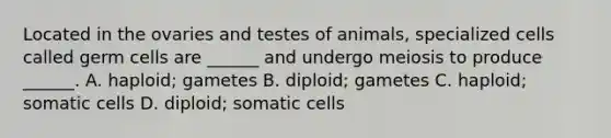 Located in the ovaries and testes of animals, specialized cells called germ cells are ______ and undergo meiosis to produce ______. A. haploid; gametes B. diploid; gametes C. haploid; somatic cells D. diploid; somatic cells