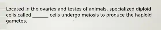 Located in the ovaries and testes of animals, specialized diploid cells called _______ cells undergo meiosis to produce the haploid gametes.