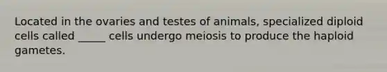 Located in the ovaries and testes of animals, specialized diploid cells called _____ cells undergo meiosis to produce the haploid gametes.