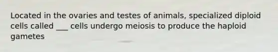 Located in the ovaries and testes of animals, specialized diploid cells called ___ cells undergo meiosis to produce the haploid gametes