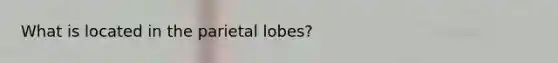 What is located in the parietal lobes?