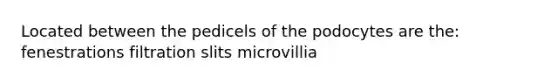 Located between the pedicels of the podocytes are the: fenestrations filtration slits microvillia