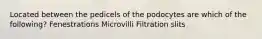 Located between the pedicels of the podocytes are which of the following? Fenestrations Microvilli Filtration slits