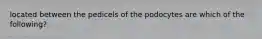 located between the pedicels of the podocytes are which of the following?