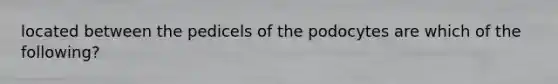 located between the pedicels of the podocytes are which of the following?