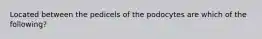 Located between the pedicels of the podocytes are which of the following?