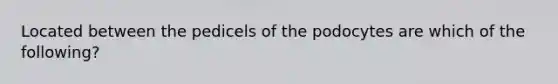 Located between the pedicels of the podocytes are which of the following?