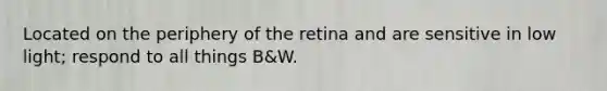 Located on the periphery of the retina and are sensitive in low light; respond to all things B&W.