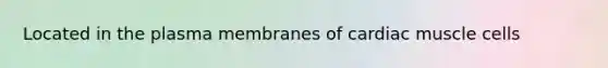 Located in the plasma membranes of cardiac muscle cells