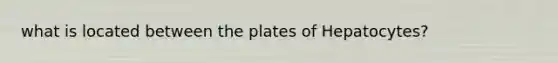 what is located between the plates of Hepatocytes?