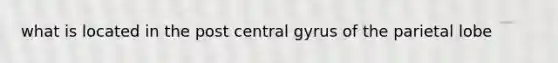 what is located in the post central gyrus of the parietal lobe