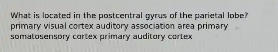 What is located in the postcentral gyrus of the parietal lobe? primary visual cortex auditory association area primary somatosensory cortex primary auditory cortex