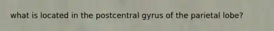 what is located in the postcentral gyrus of the parietal lobe?