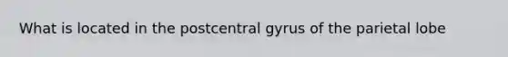 What is located in the postcentral gyrus of the parietal lobe