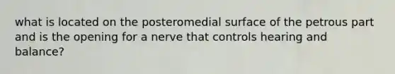 what is located on the posteromedial surface of the petrous part and is the opening for a nerve that controls hearing and balance?