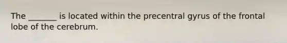 The _______ is located within the precentral gyrus of the frontal lobe of the cerebrum.