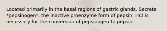 Located primarily in the basal regions of gastric glands. Secrete *pepsinogen*, the inactive proenzyme form of pepsin. HCl is necessary for the conversion of pepsinogen to pepsin.