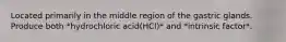 Located primarily in the middle region of the gastric glands. Produce both *hydrochloric acid(HCl)* and *intrinsic factor*.