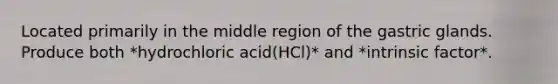 Located primarily in the middle region of the gastric glands. Produce both *hydrochloric acid(HCl)* and *intrinsic factor*.