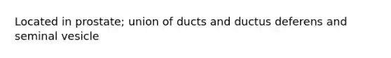 Located in prostate; union of ducts and ductus deferens and seminal vesicle