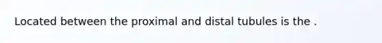 Located between the proximal and distal tubules is the .