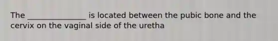 The _______________ is located between the pubic bone and the cervix on the vaginal side of the uretha