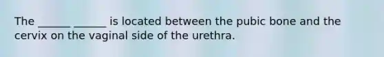 The ______ ______ is located between the pubic bone and the cervix on the vaginal side of the urethra.