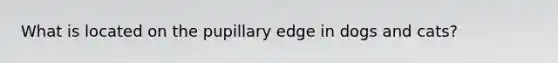 What is located on the pupillary edge in dogs and cats?