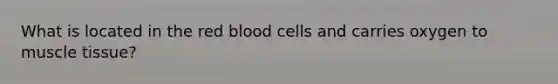 What is located in the red blood cells and carries oxygen to muscle tissue?