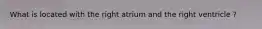 What is located with the right atrium and the right ventricle ?