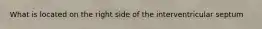 What is located on the right side of the interventricular septum