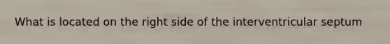 What is located on the right side of the interventricular septum