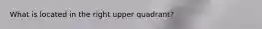 What is located in the right upper quadrant?