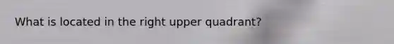What is located in the right upper quadrant?