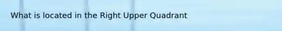 What is located in the Right Upper Quadrant