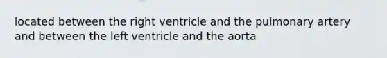 located between the right ventricle and the pulmonary artery and between the left ventricle and the aorta