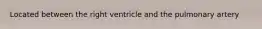 Located between the right ventricle and the pulmonary artery