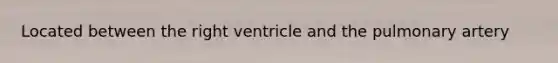 Located between the right ventricle and the pulmonary artery