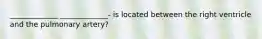 _____________ _____________- is located between the right ventricle and the pulmonary artery?