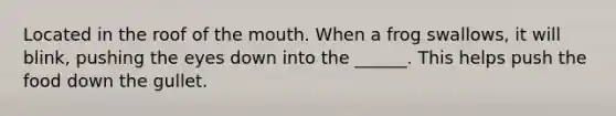 Located in the roof of the mouth. When a frog swallows, it will blink, pushing the eyes down into the ______. This helps push the food down the gullet.