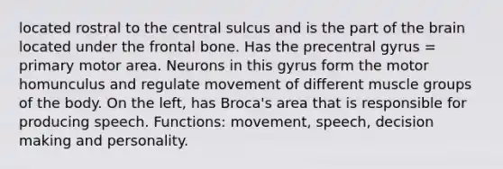 located rostral to the central sulcus and is the part of <a href='https://www.questionai.com/knowledge/kLMtJeqKp6-the-brain' class='anchor-knowledge'>the brain</a> located under the frontal bone. Has the precentral gyrus = primary motor area. Neurons in this gyrus form the motor homunculus and regulate movement of different muscle groups of the body. On the left, has Broca's area that is responsible for producing speech. Functions: movement, speech, <a href='https://www.questionai.com/knowledge/kuI1pP196d-decision-making' class='anchor-knowledge'>decision making</a> and personality.