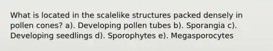 What is located in the scalelike structures packed densely in pollen cones? a). Developing pollen tubes b). Sporangia c). Developing seedlings d). Sporophytes e). Megasporocytes