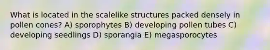 What is located in the scalelike structures packed densely in pollen cones? A) sporophytes B) developing pollen tubes C) developing seedlings D) sporangia E) megasporocytes